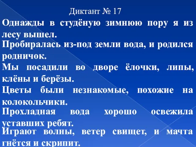 Диктант № 17 Однажды в студёную зимнюю пору я из лесу вышел.