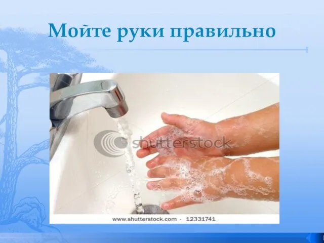 Мойте руки правильно