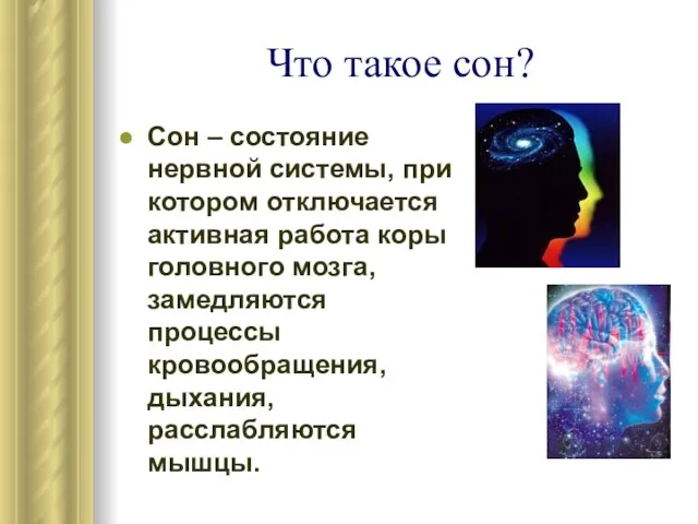 Что такое сон? Сон – состояние нервной системы, при котором отключается активная