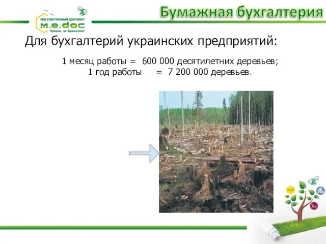 Для бухгалтерий украинских предприятий: 1 месяц работы = 600 000 десятилетних деревьев;