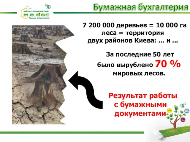 7 200 000 деревьев = 10 000 га леса = территория двух