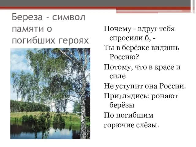 Береза - символ памяти о погибших героях Почему - вдруг тебя спросили