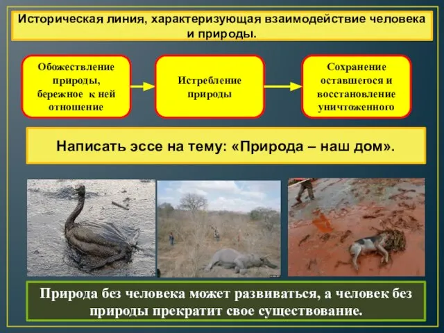 Обожествление природы, бережное к ней отношение Истребление природы Сохранение оставшегося и восстановление