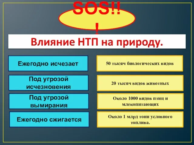 SOS!!! Ежегодно исчезает 50 тысяч биологических видов Под угрозой исчезновения 20 тысяч