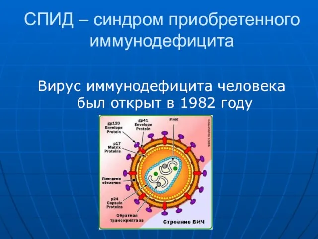 СПИД – синдром приобретенного иммунодефицита Вирус иммунодефицита человека был открыт в 1982 году