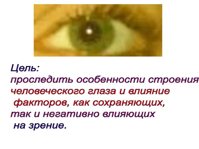 Цель: проследить особенности строения человеческого глаза и влияние факторов, как сохраняющих, так