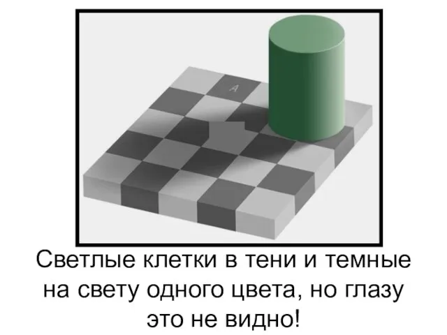 Светлые клетки в тени и темные на свету одного цвета, но глазу это не видно!