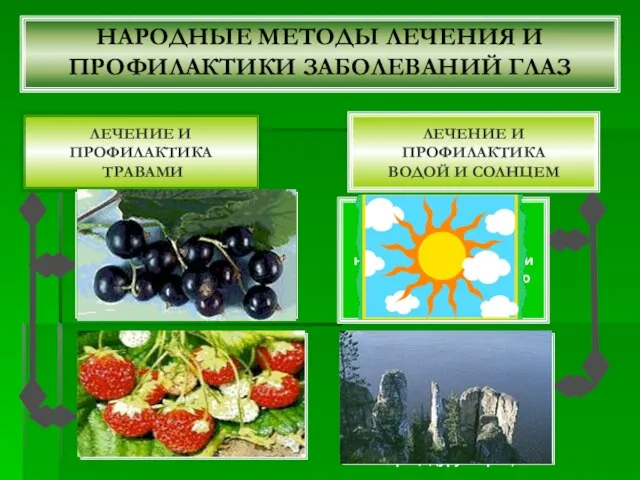 НАРОДНЫЕ МЕТОДЫ ЛЕЧЕНИЯ И ПРОФИЛАКТИКИ ЗАБОЛЕВАНИЙ ГЛАЗ ЛЕЧЕНИЕ И ПРОФИЛАКТИКА ТРАВАМИ Листья: