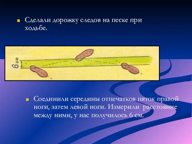 Сделали дорожку следов на песке при ходьбе. Соединили середины отпечатков пяток правой