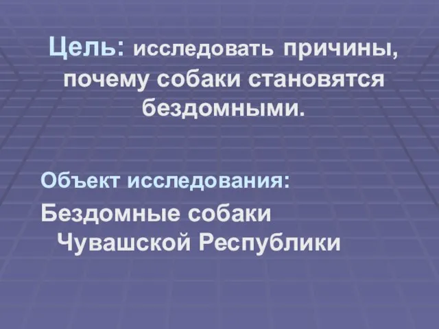 Объект исследования: Бездомные собаки Чувашской Республики Цель: исследовать причины, почему собаки становятся бездомными.