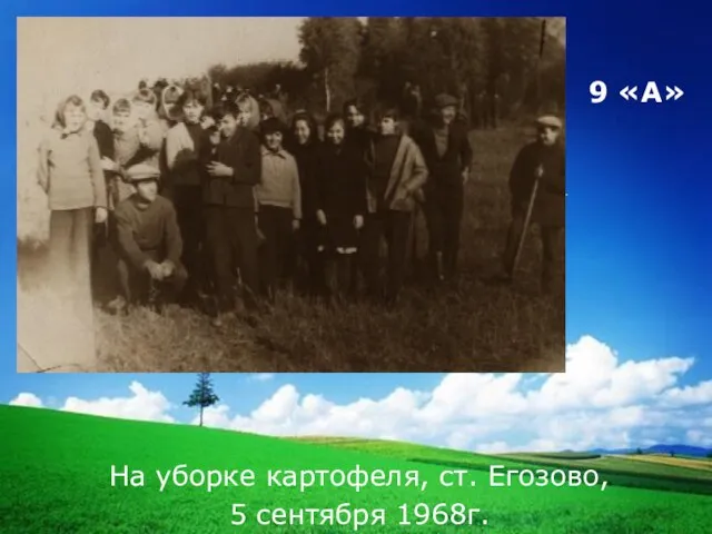 9 «А» На уборке картофеля, ст. Егозово, 5 сентября 1968г.