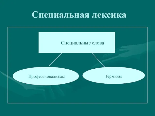 Специальная лексика Специальные слова Профессионализмы Термины