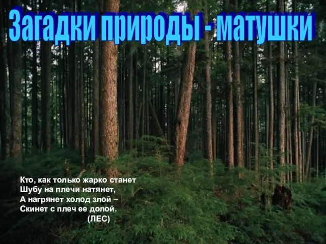 Кто, как только жарко станет Шубу на плечи натянет, А нагрянет холод