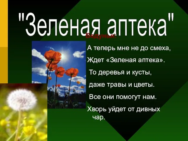 "Зеленая аптека" Ведунья: А теперь мне не до смеха, Ждет «Зеленая аптека».