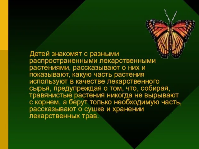 Детей знакомят с разными распространенными лекарственными растениями, рассказывают о них и показывают,