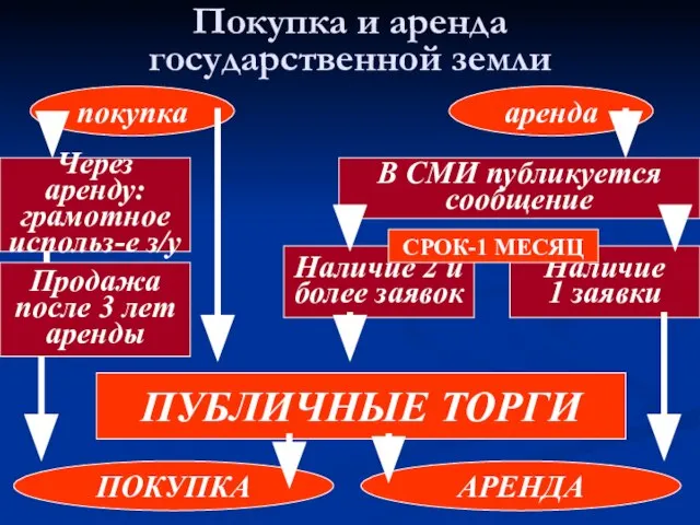 Покупка и аренда государственной земли покупка аренда Через аренду: грамотное использ-е з/у