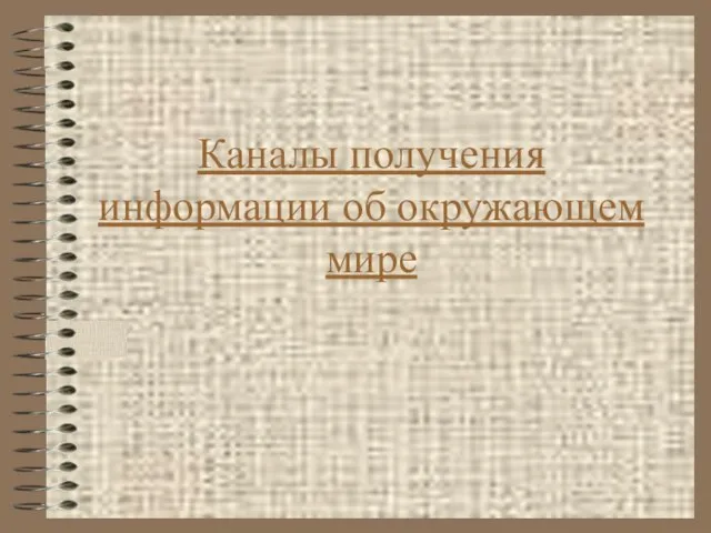 Каналы получения информации об окружающем мире