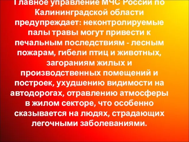 Главное управление МЧС России по Калининградской области предупреждает: неконтролируемые палы травы могут