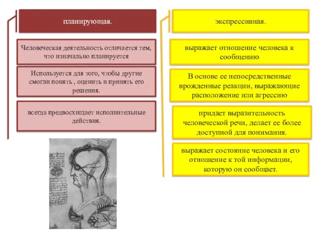 планирующая. Человеческая деятельность отличается тем, что изначально планируется Используется для того, чтобы