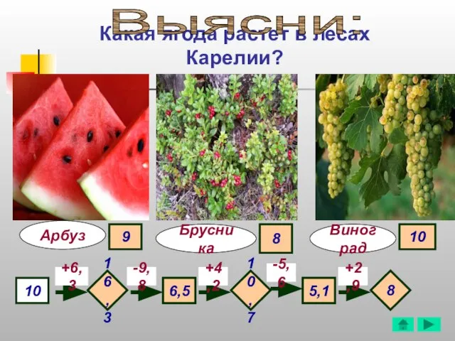 Какая ягода растет в лесах Карелии? Арбуз Виноград 10 +6,3 -9,8 +4,2