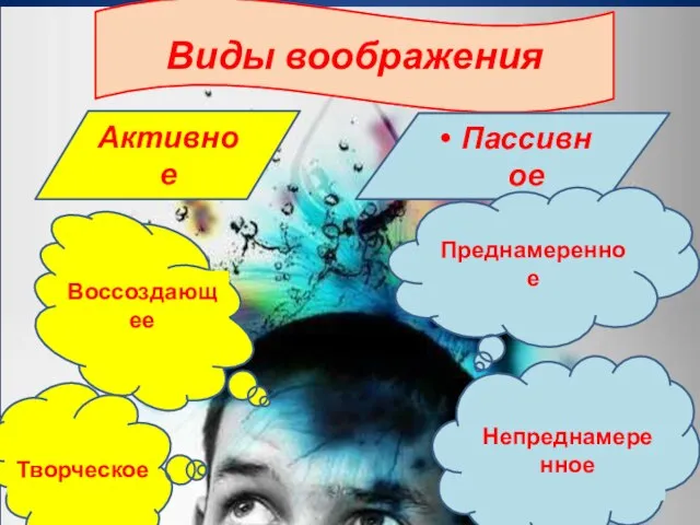 Виды воображения Активное Творческое Воссоздающее Пассивное Преднамеренное Непреднамеренное Непреднамеренное