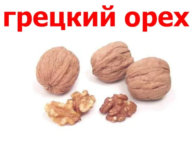 грецкий орех