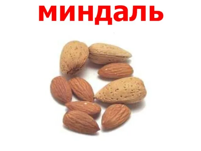 миндаль