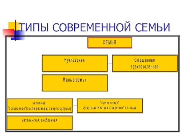 ТИПЫ СОВРЕМЕННОЙ СЕМЬИ