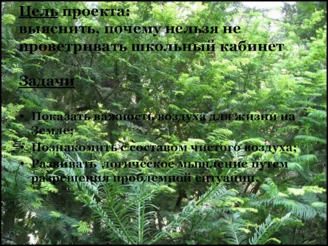 Цель проекта: выяснить, почему нельзя не проветривать школьный кабинет Задачи Показать важность