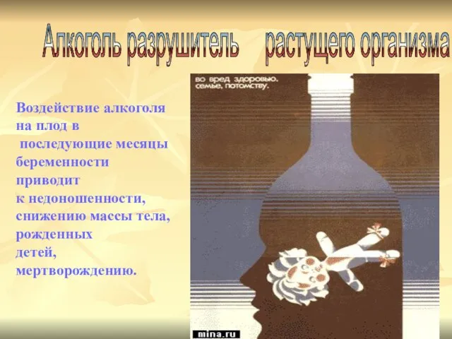 Алкоголь разрушитель растущего организма Воздействие алкоголя на плод в последующие месяцы беременности