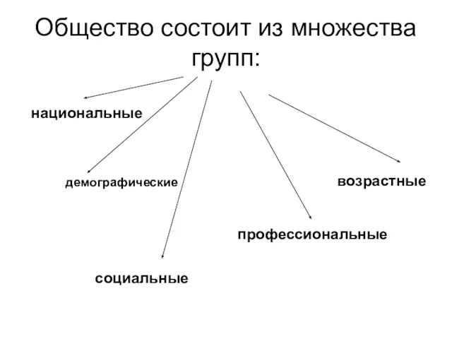 Общество состоит из множества групп: национальные демографические социальные профессиональные возрастные