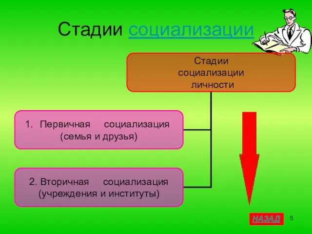 Стадии социализации НАЗАД