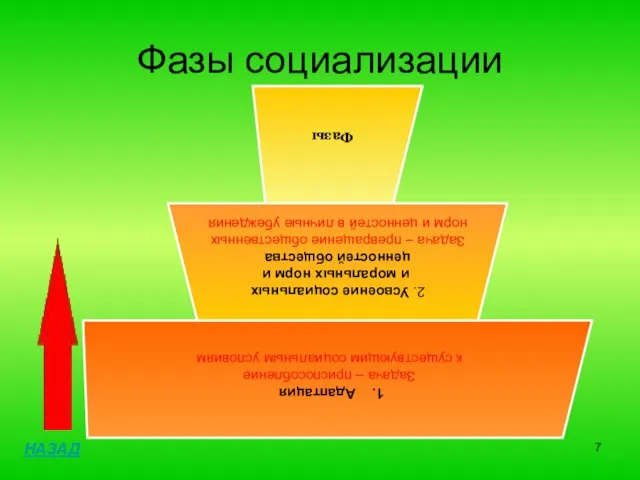 Фазы социализации НАЗАД