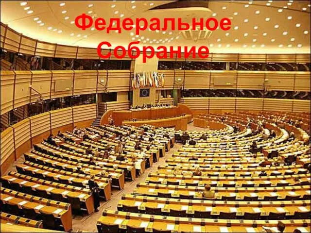 Парламент – государственный орган, который принимает законы Федеральное Собрание