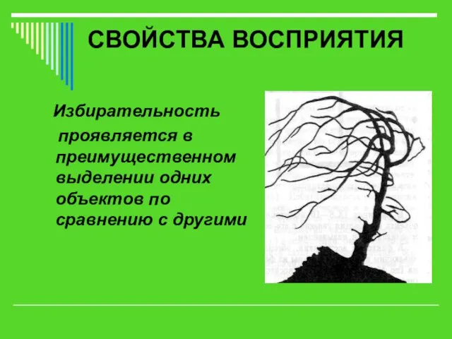 СВОЙСТВА ВОСПРИЯТИЯ Избирательность проявляется в преимущественном выделении одних объектов по сравнению с другими