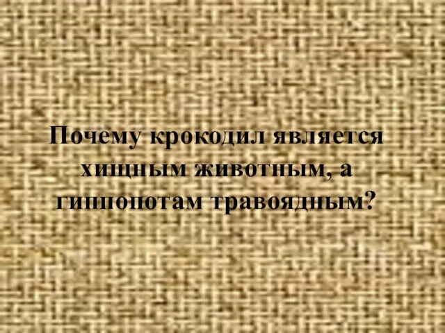 Почему крокодил является хищным животным, а гиппопотам травоядным?