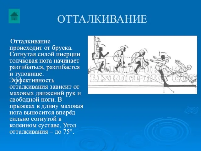 ОТТАЛКИВАНИЕ Отталкивание происходит от бруска. Согнутая силой инерции толчковая нога начинает разгибаться,