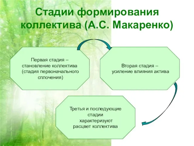 Стадии формирования коллектива (А.С. Макаренко) Первая стадия – становление коллектива (стадия первоначального