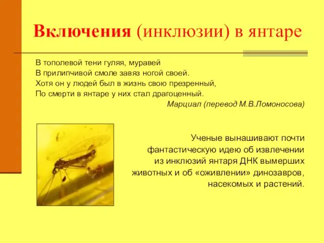 В тополевой тени гуляя, муравей В прилипчивой смоле завяз ногой своей. Хотя