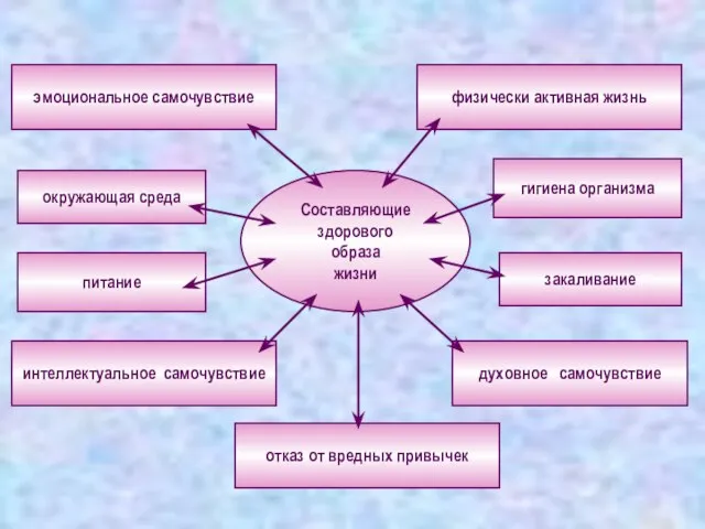 Составляющие здорового образа жизни окружающая среда отказ от вредных привычек питание физически