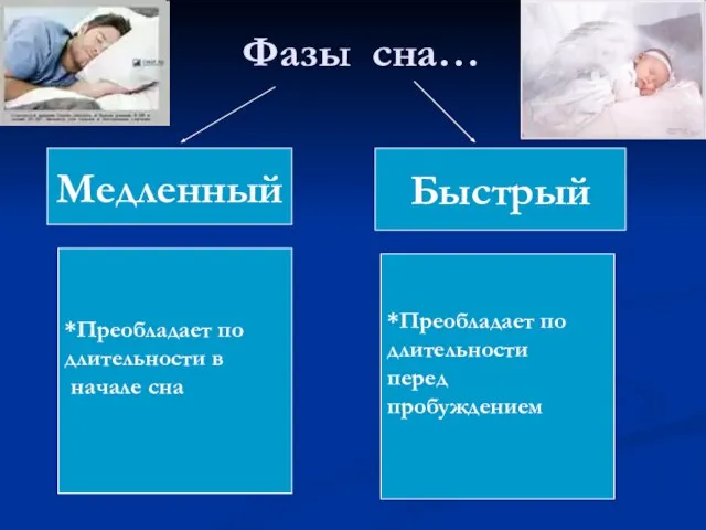 Фазы сна… Медленный Быстрый *Преобладает по длительности в начале сна *Преобладает по длительности перед пробуждением