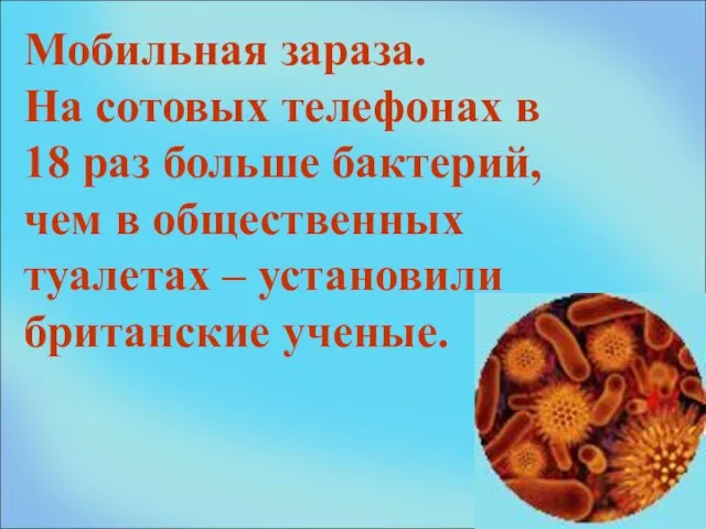 Мобильная зараза. На сотовых телефонах в 18 раз больше бактерий, чем в