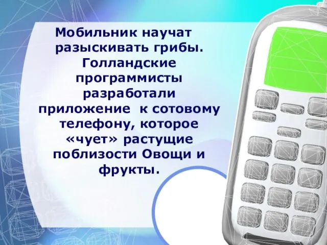 Мобильник научат разыскивать грибы. Голландские программисты разработали приложение к сотовому телефону, которое