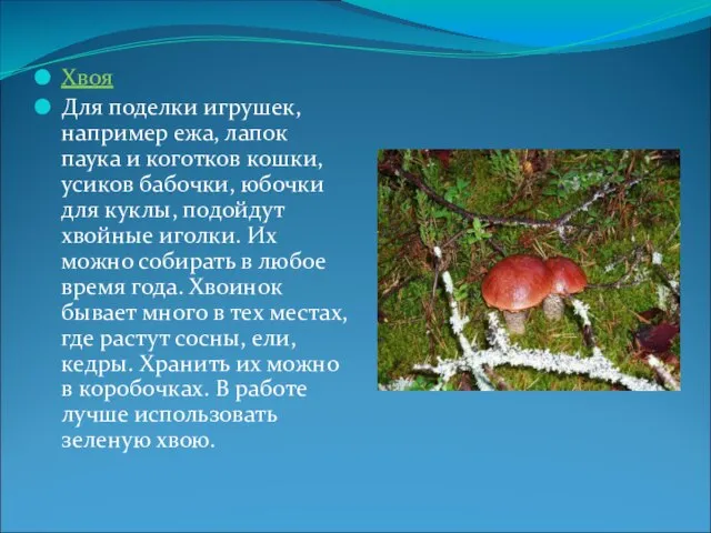 Хвоя Для поделки игрушек, например ежа, лапок паука и коготков кошки, усиков