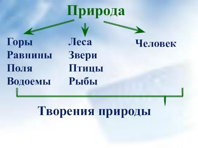 Природа Горы Равнины Поля Водоемы Леса Звери Птицы Рыбы Человек Творения природы