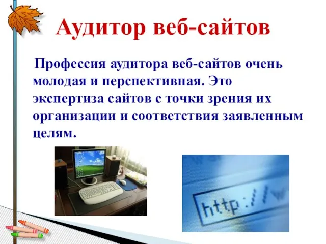 Профессия аудитора веб-сайтов очень молодая и перспективная. Это экспертиза сайтов с точки