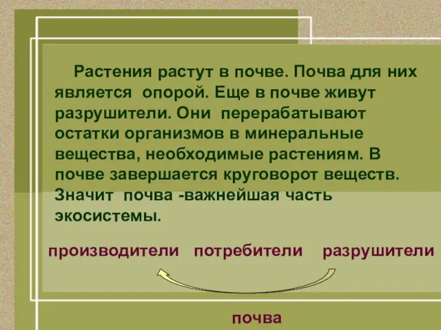 Растения растут в почве. Почва для них является опорой. Еще в почве