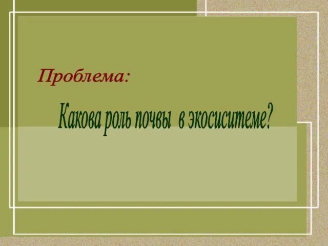 Проблема: Какова роль почвы в экосиситеме?