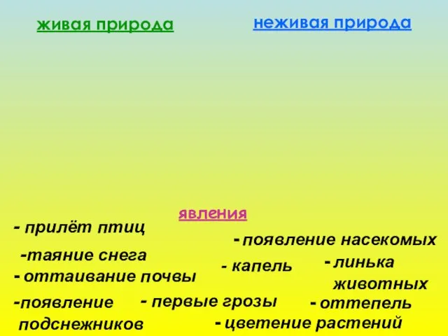 живая природа неживая природа явления - капель -появление подснежников - прилёт птиц