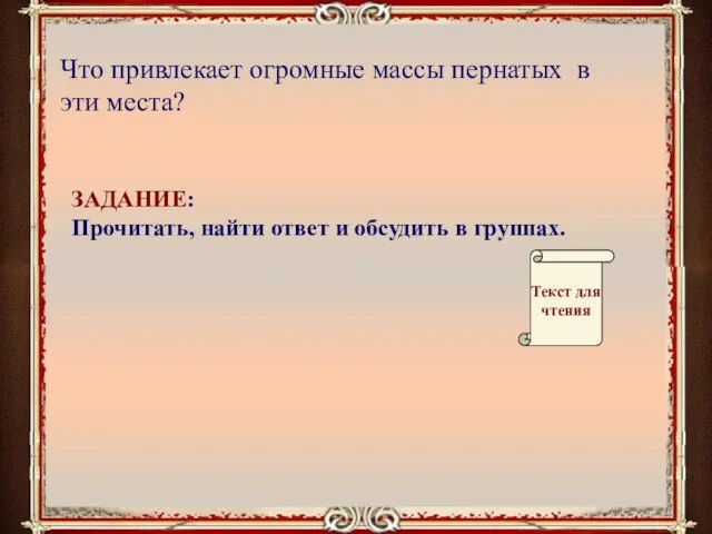 Что привлекает огромные массы пернатых в эти места? ЗАДАНИЕ: Прочитать, найти ответ и обсудить в группах.